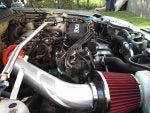 IMG_20120829_172700_852.jpg